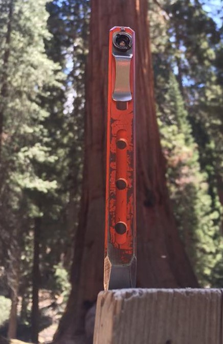 13680676_10104274116318465_4631162119529478003_n